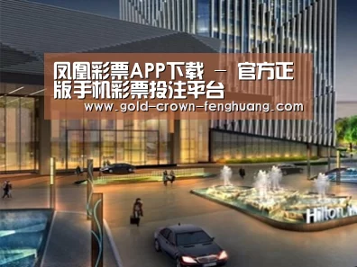 案例展示二