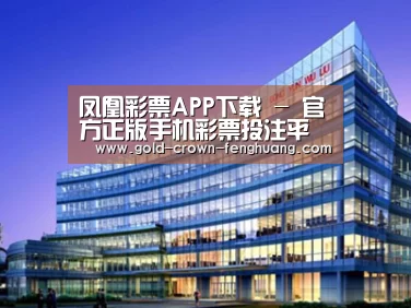 案例展示五